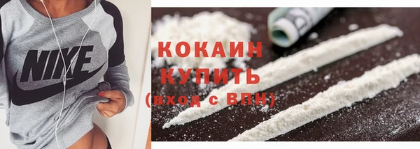 гидра Богородск