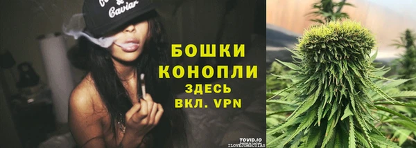 бошки Богданович
