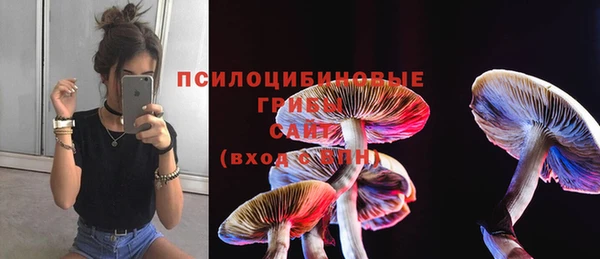спайс Богородицк