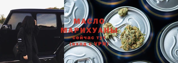 гидра Богородск