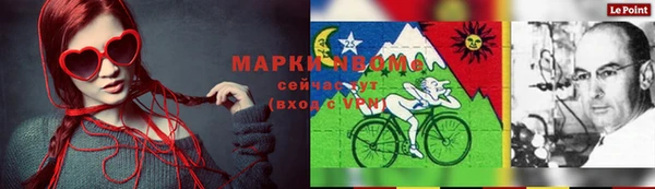 гидра Богородск