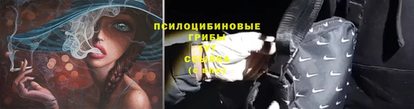 бошки Богданович